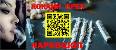 индика Моздок