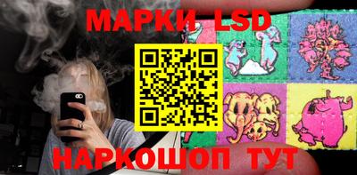 индика Моздок