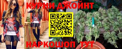 индика Моздок