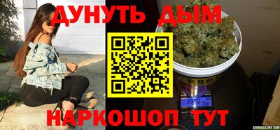 индика Моздок