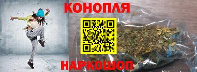 индика Моздок