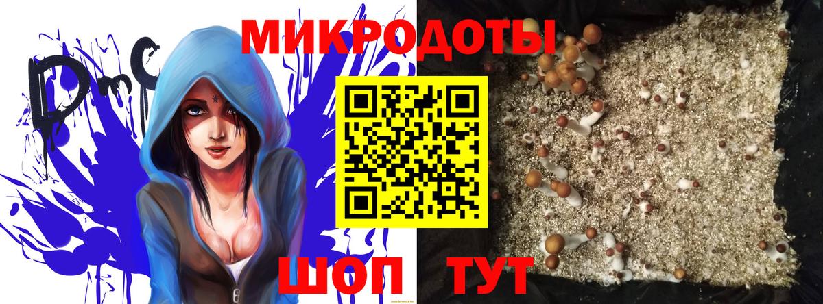 Галлюциногенные грибы мицелий  Вход с VPN  Шарыпово 