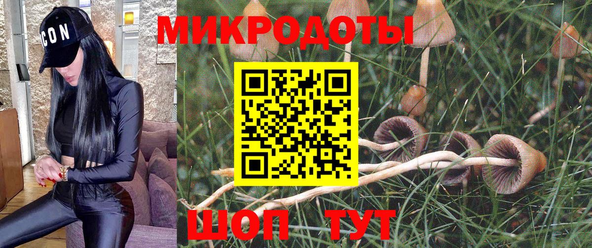 Псилоцибиновые грибы прущие грибы Шарыпово
